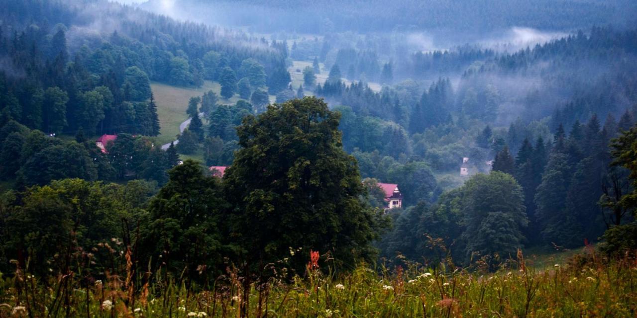 Hotel Gorski Czarna Gora Stronie Śląskie Exterior foto